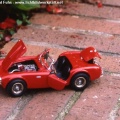 auto007