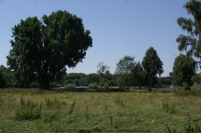 PICT9819.png